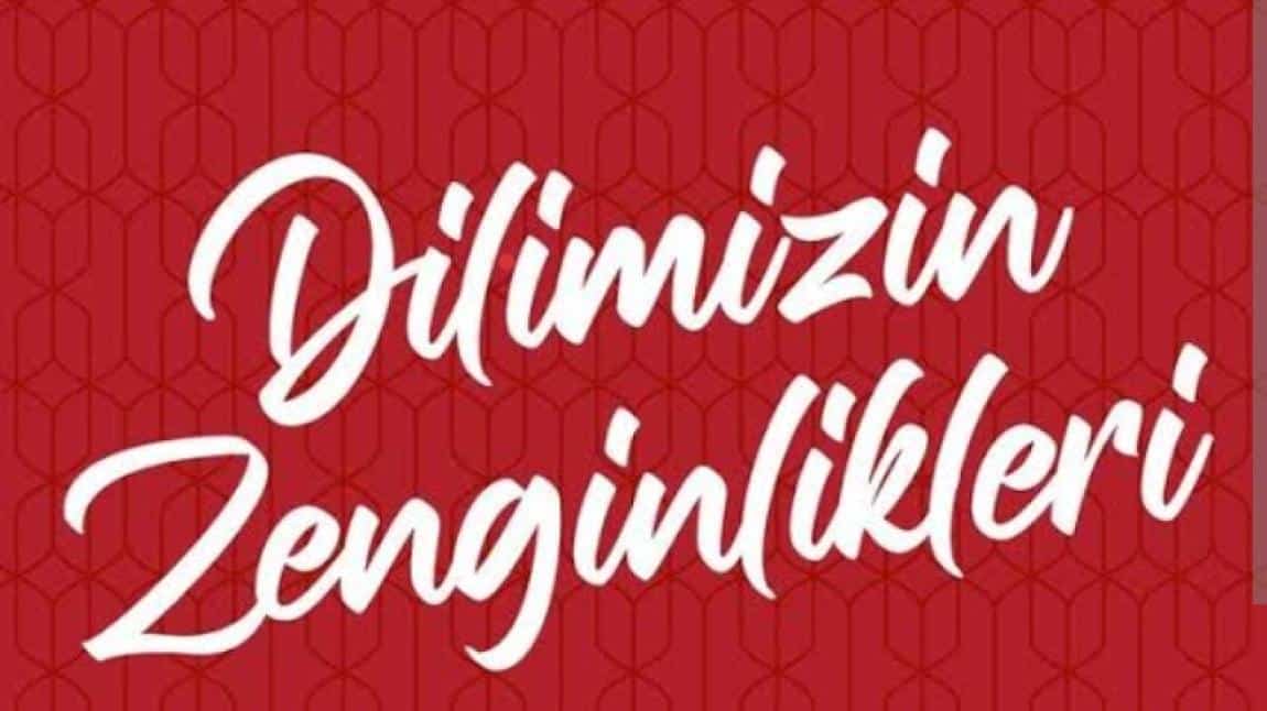 DİLİMİZİN ZENGİNLİKLERİNDE BU AY TÜRK DİLİNİN İLK SÖZLÜĞÜ VAR.